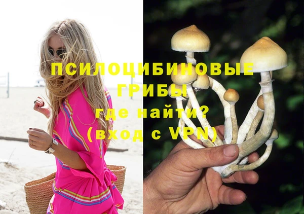 ешки Алзамай