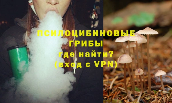 ешки Алзамай