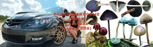 героин Алексин