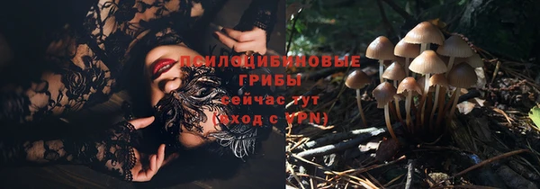 героин Алексин