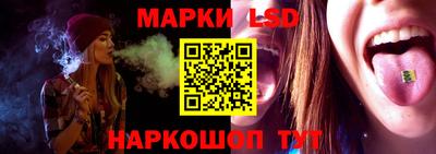 a pvp Новодвинск