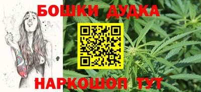 a pvp Новодвинск