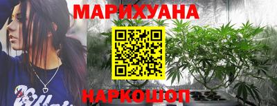 a pvp Новодвинск