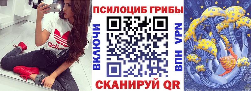 Галлюциногенные грибы MAGIC MUSHROOMS Томск