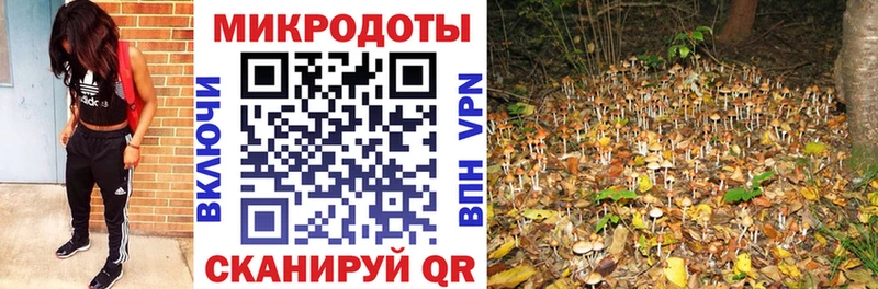 Галлюциногенные грибы Magic Shrooms  купить наркотики сайты  Томск 